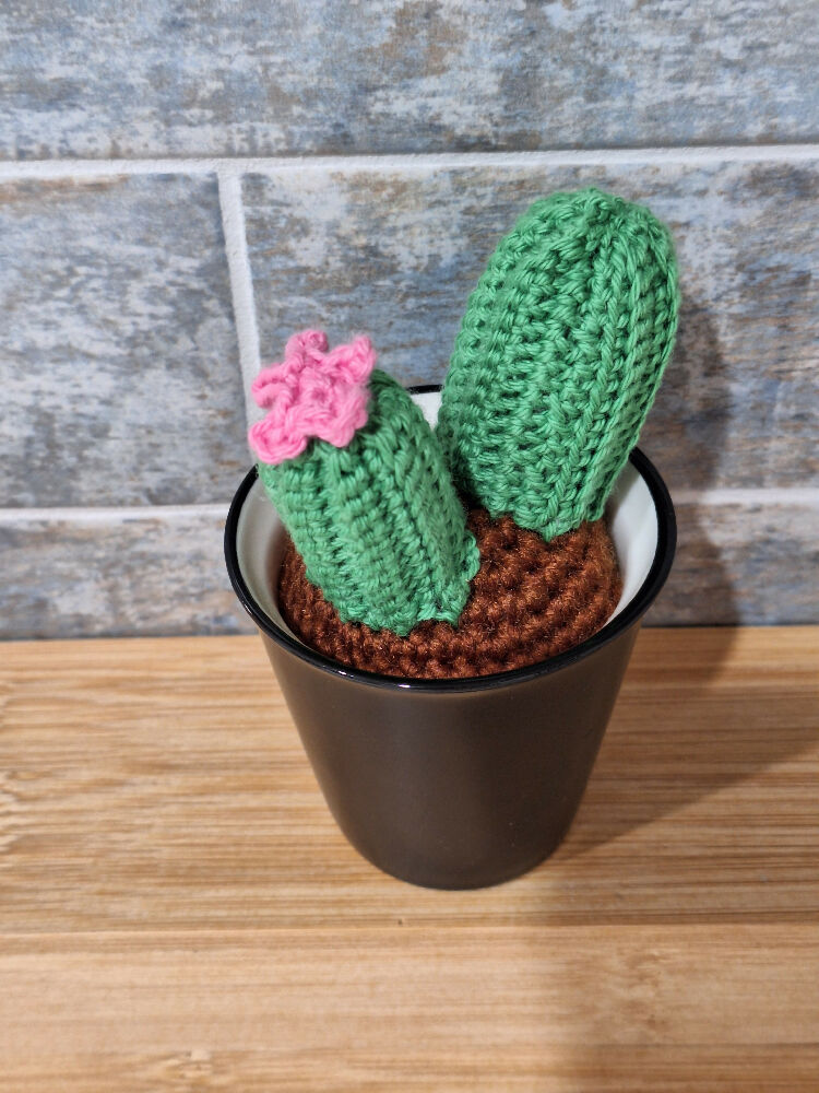 crocheted succulents room decoration