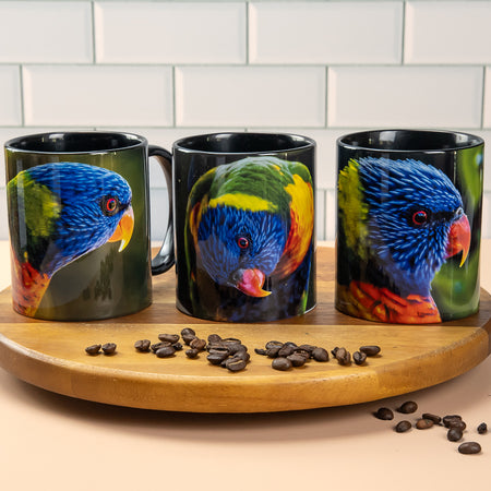 Rainbow Lorikeet - up close and personal - coffee mugs