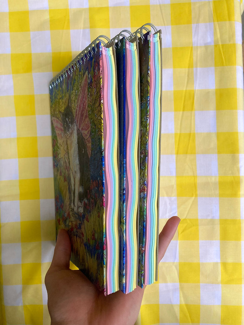 Sparkly Rainbow Notebooks - Watercolour Fairy Cats