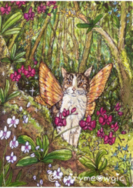 Fairy Cat A3 Giclee Fine Art Print