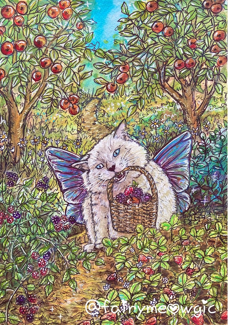 Fairy Cat A3 Giclee Fine Art Print
