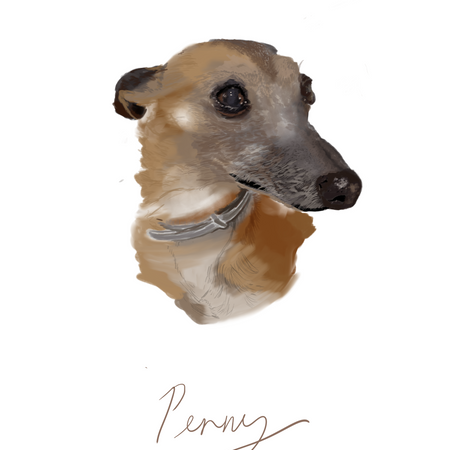 Custom digital portrait of your pet dog $50