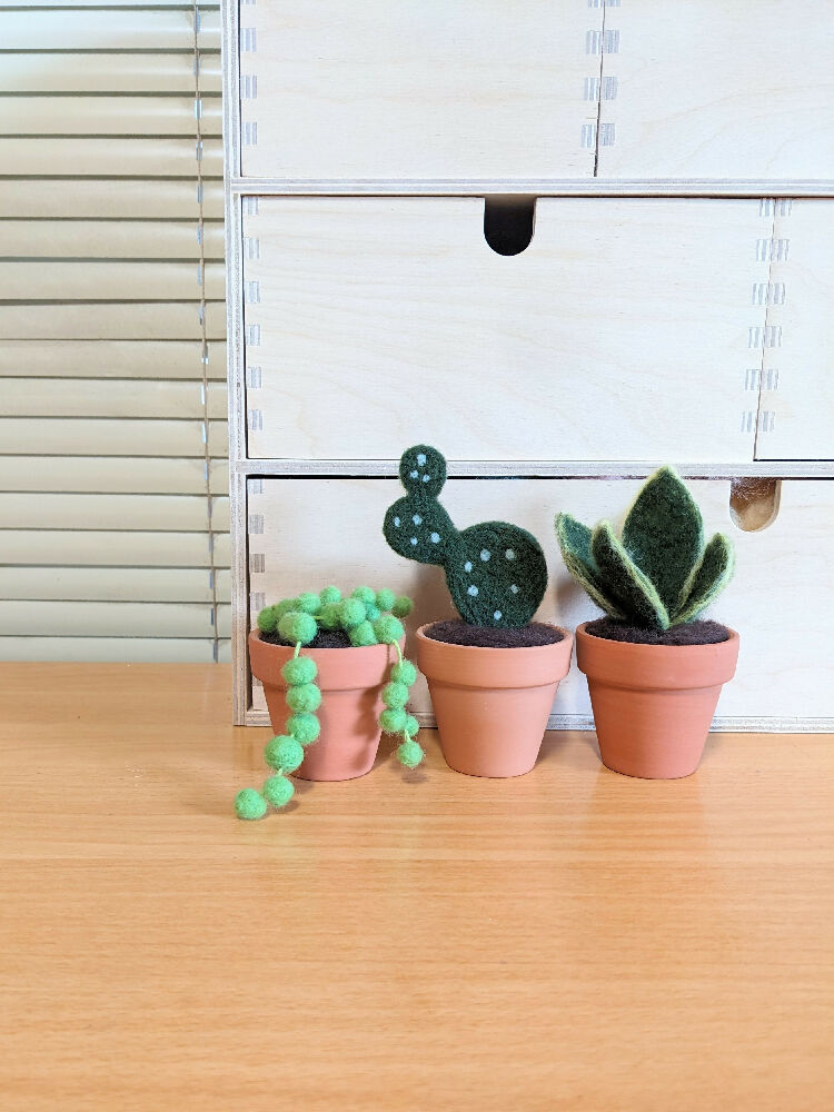 Needle Felted Succulent in Pot - String of Pearls