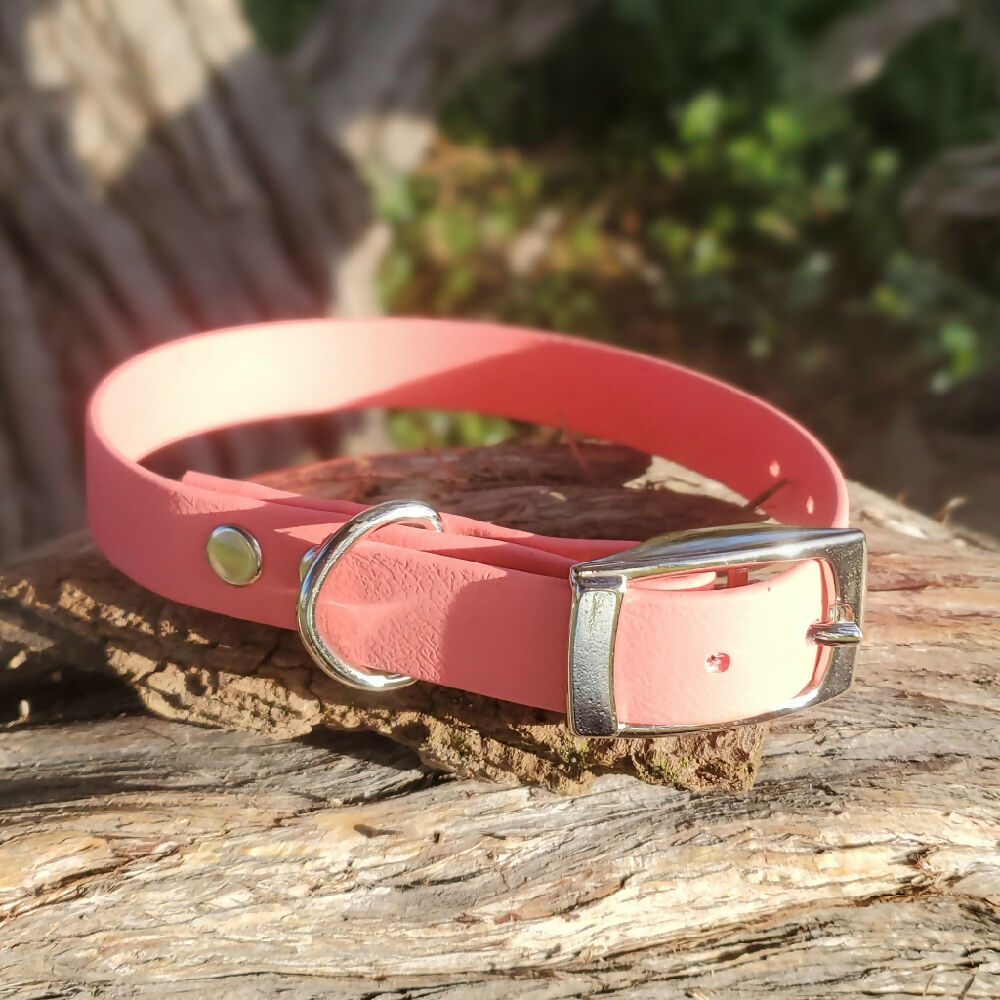 Waterproof dog collar - Light Colours