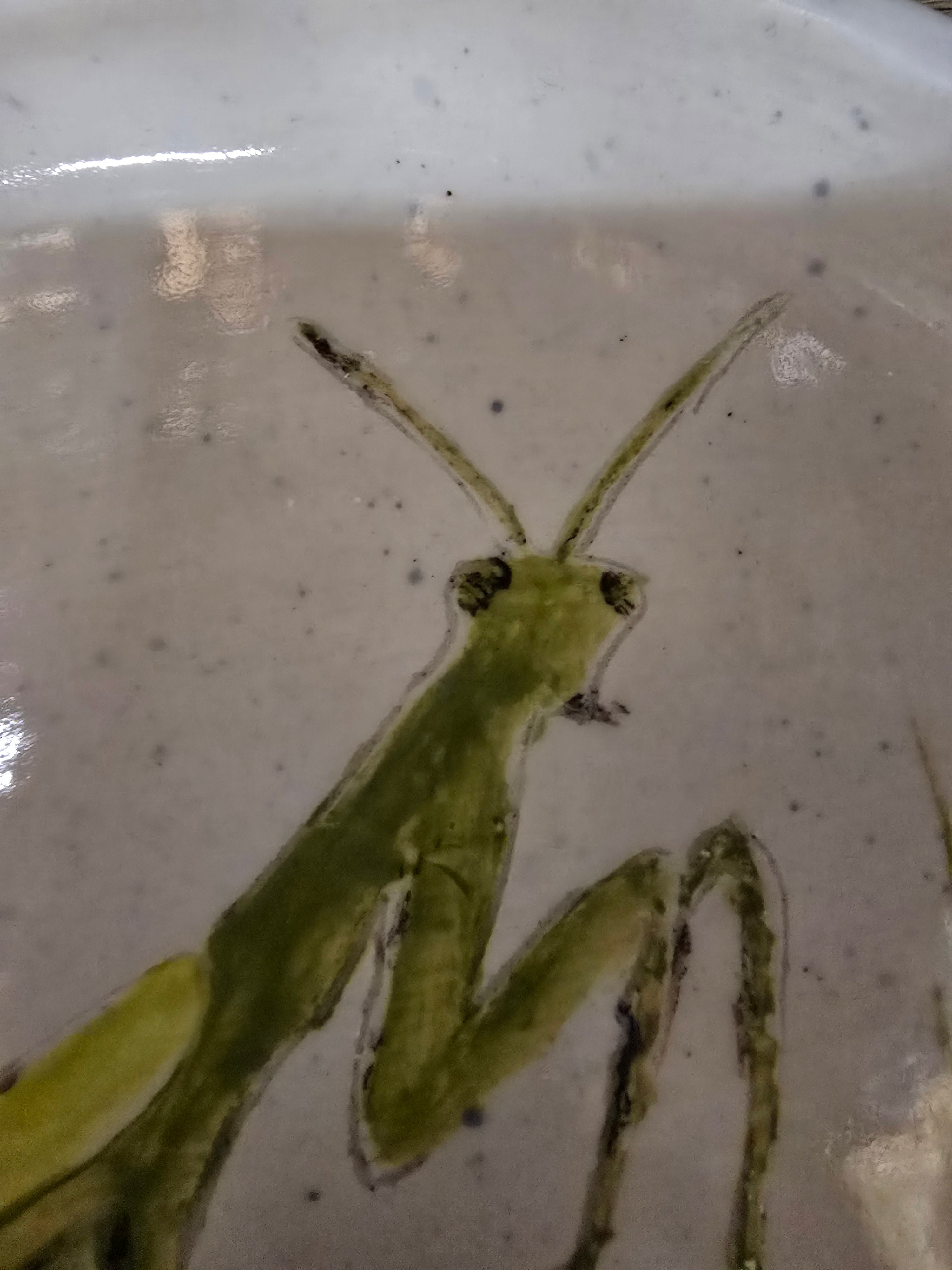 Praying mantis plate