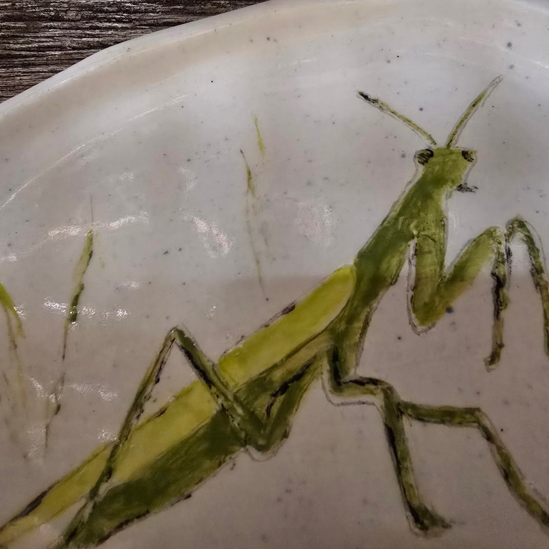 Praying mantis plate