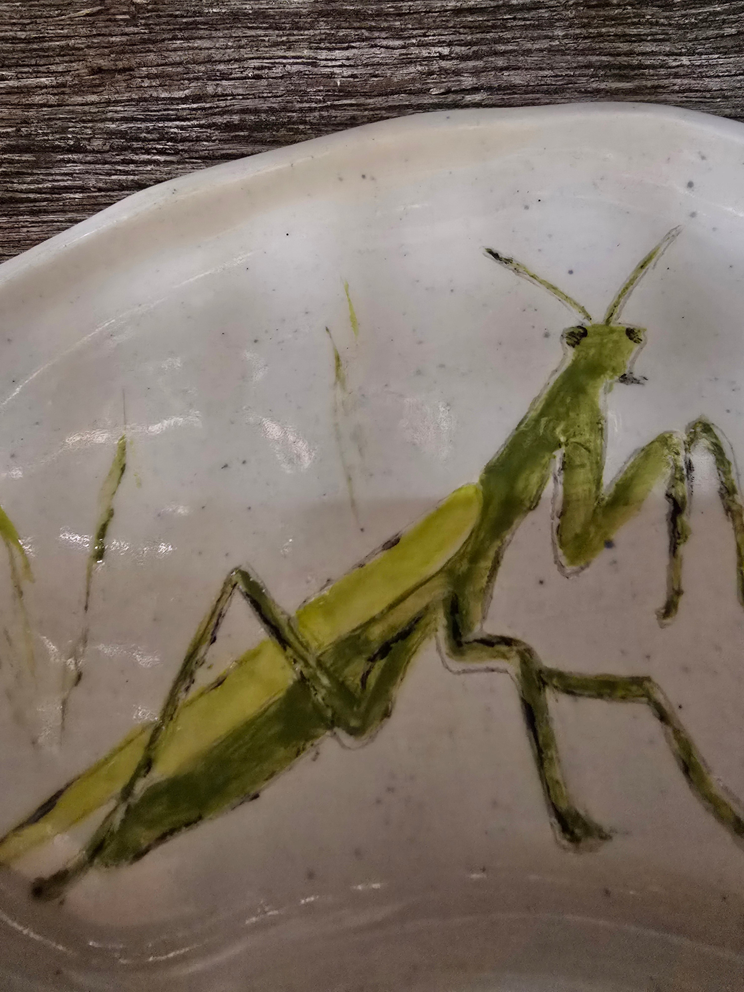 Praying mantis plate