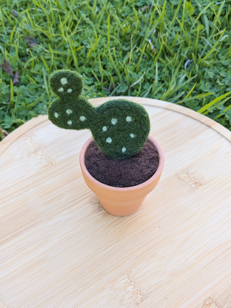 Needle Felted Succulent in Pot - Paddle Cactus / Prickly Pear