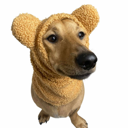 Dog Snood/neck warmer for dog/puppy, Handmade Pet clothing/costume, Anti anxiety and warmth