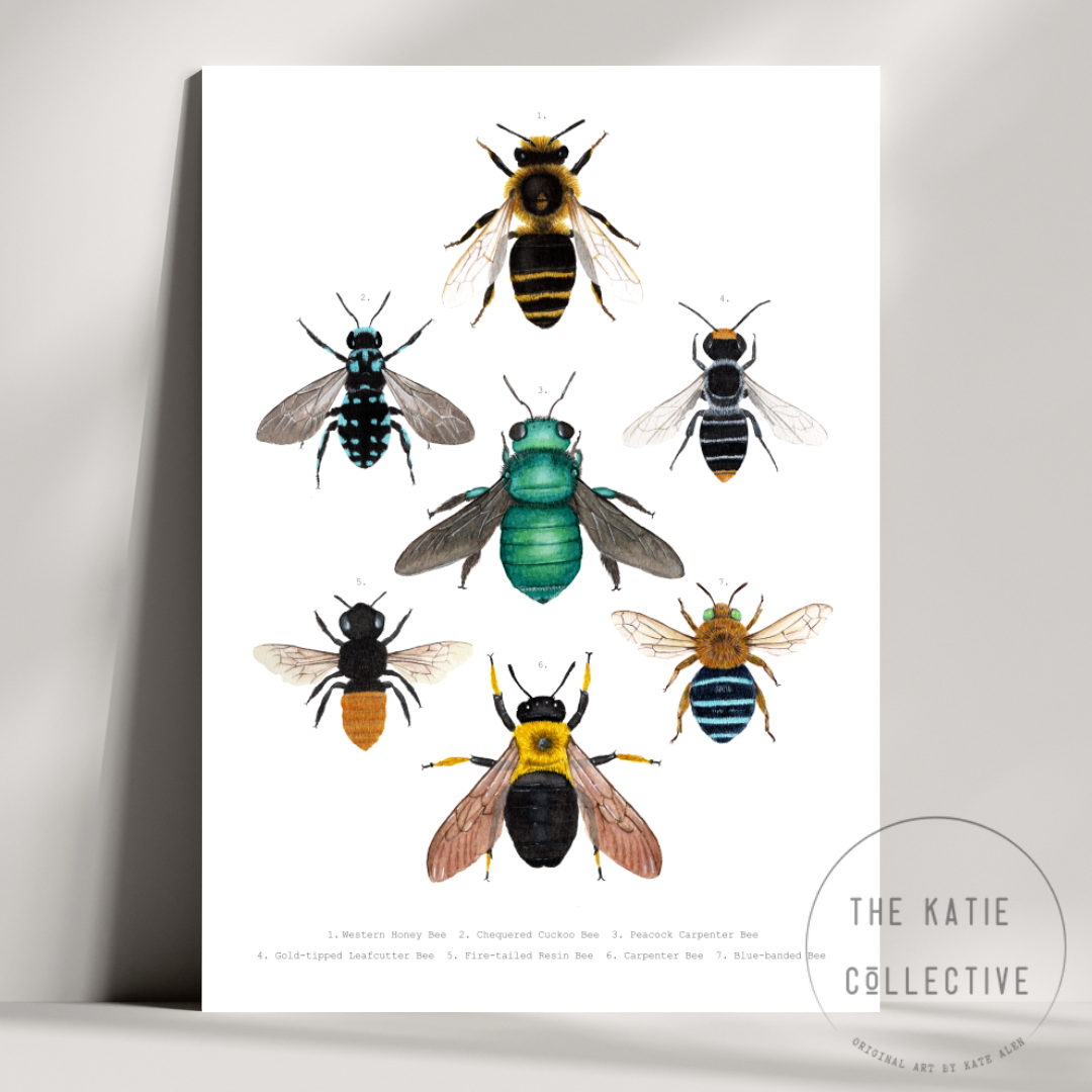 Watercolour Art Print - The Insect Series - 'Bee Collage'
