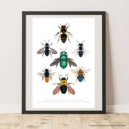 Watercolour Art Print - The Insect Series - 'Bee Collage'