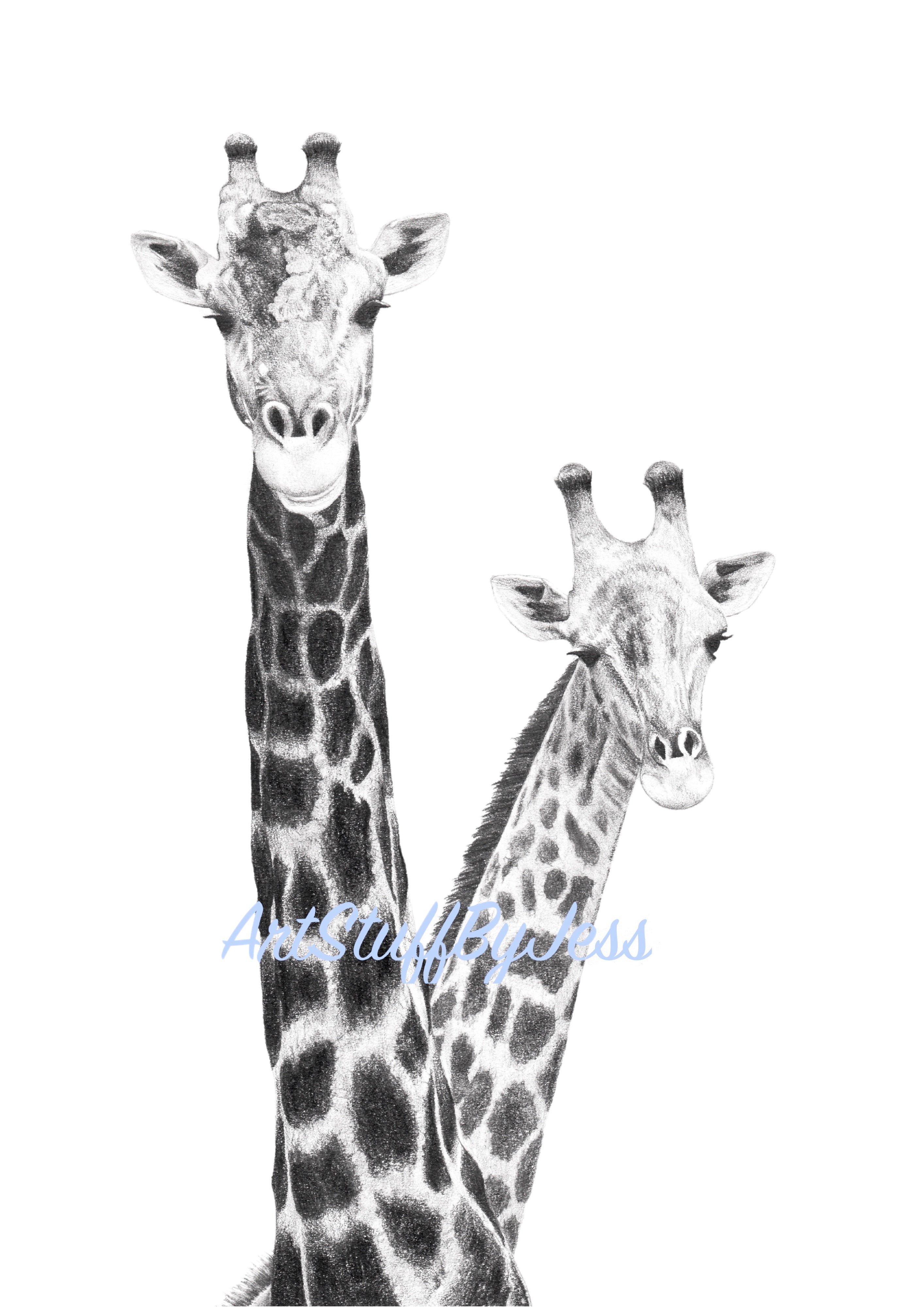 Print - Pair of Giraffes Pencil Drawing