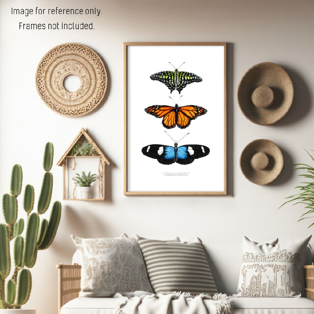 fauna series - butterfly trio