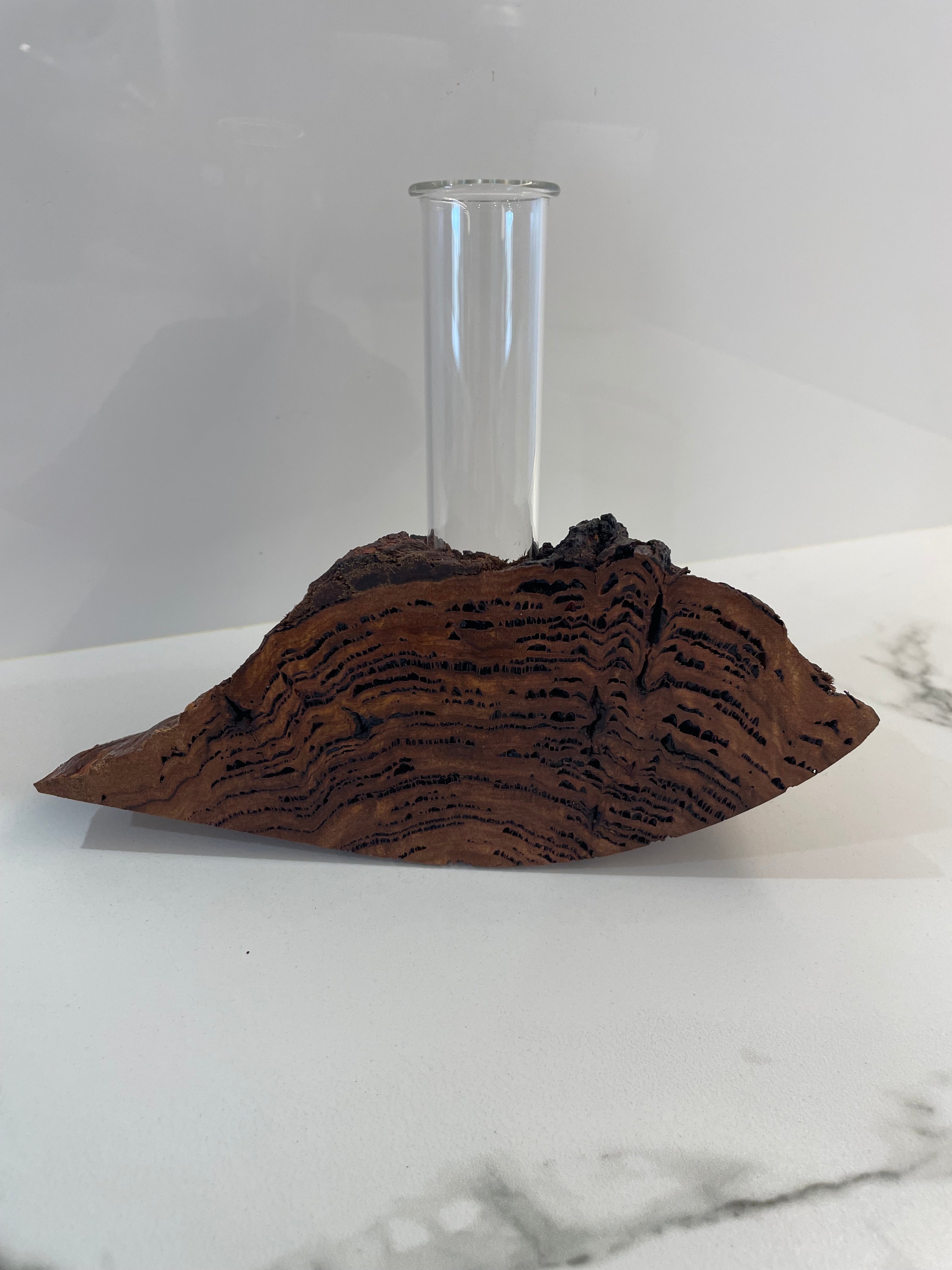 Bud vase or Propagation tube