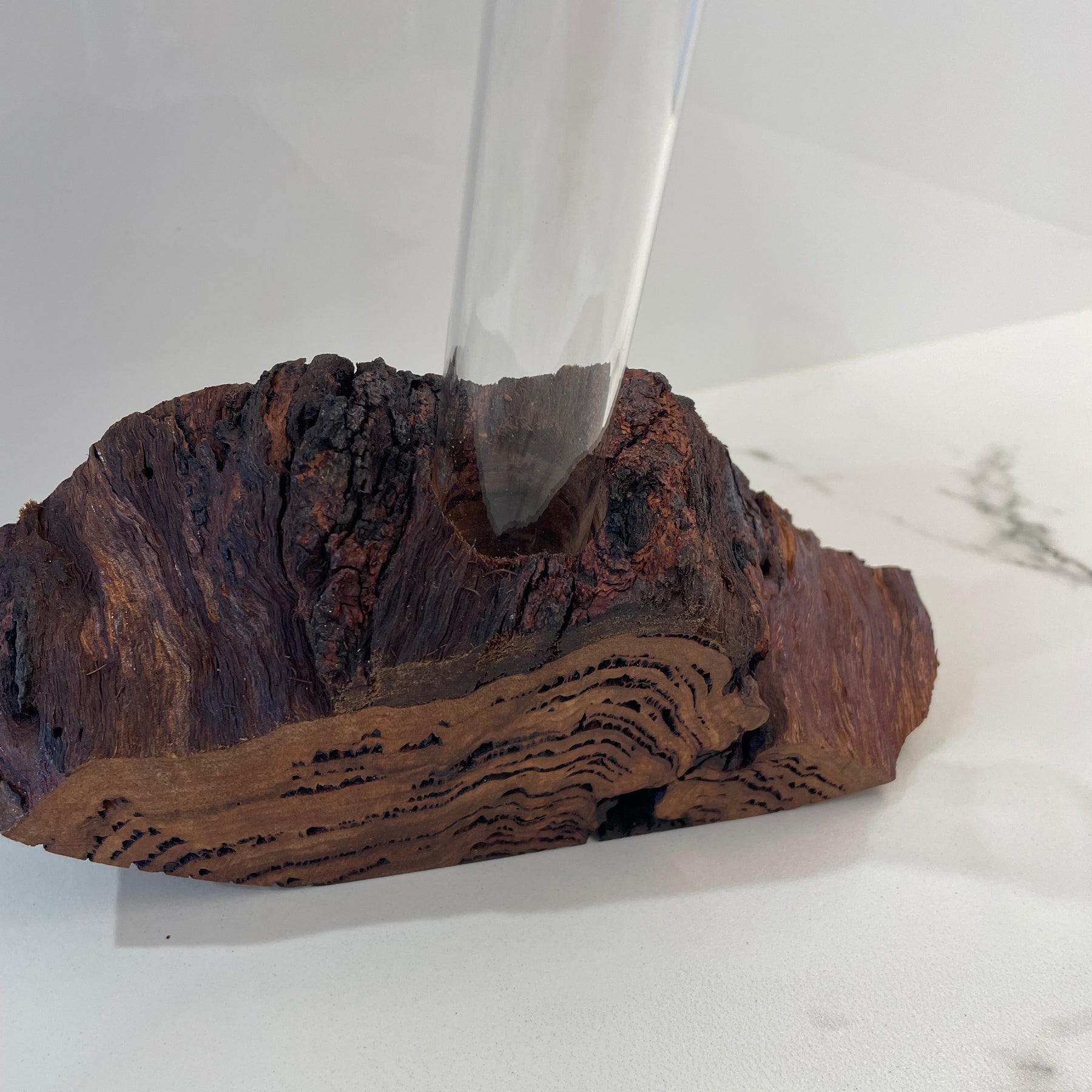 Bud vase or Propagation tube
