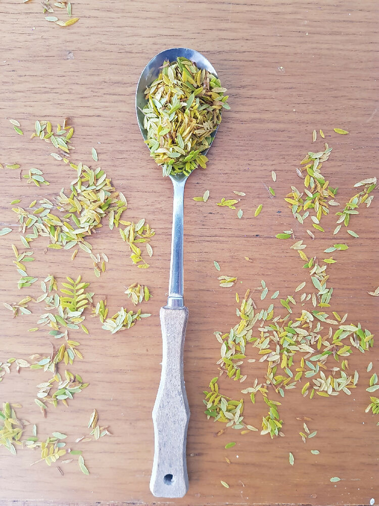 Handmade Paper with Jacaranda Leaves / Botanical Stationery / Craft Paper