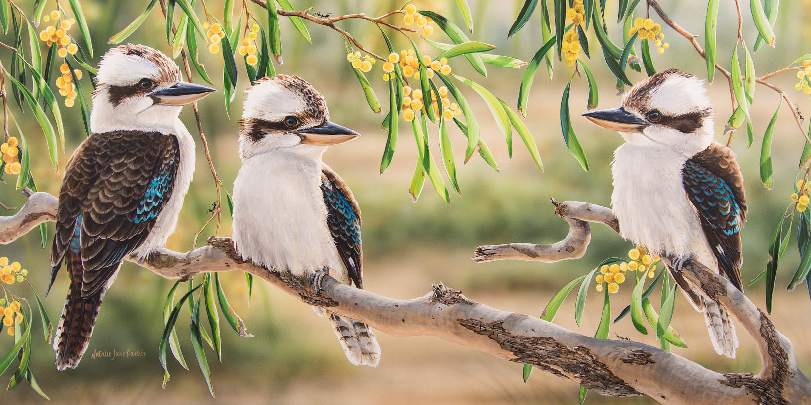 Golden Life – Laughing Kookaburras | 510-Piece Panorama Jigsaw Puzzle