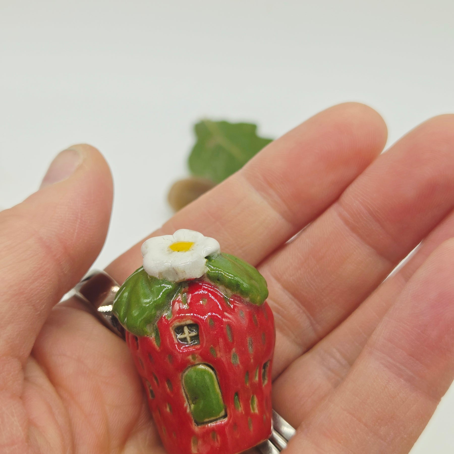 Strawberry Tiny Cottage - Green Door