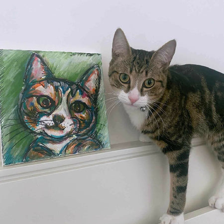 Gifts under $45 - Great gift ideas for pet lovers