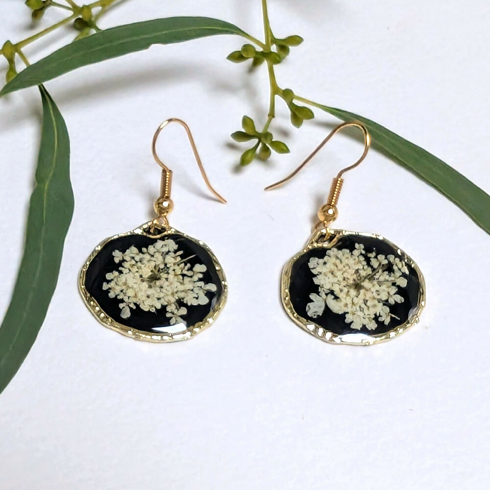 PXL_20250418_044300764~2