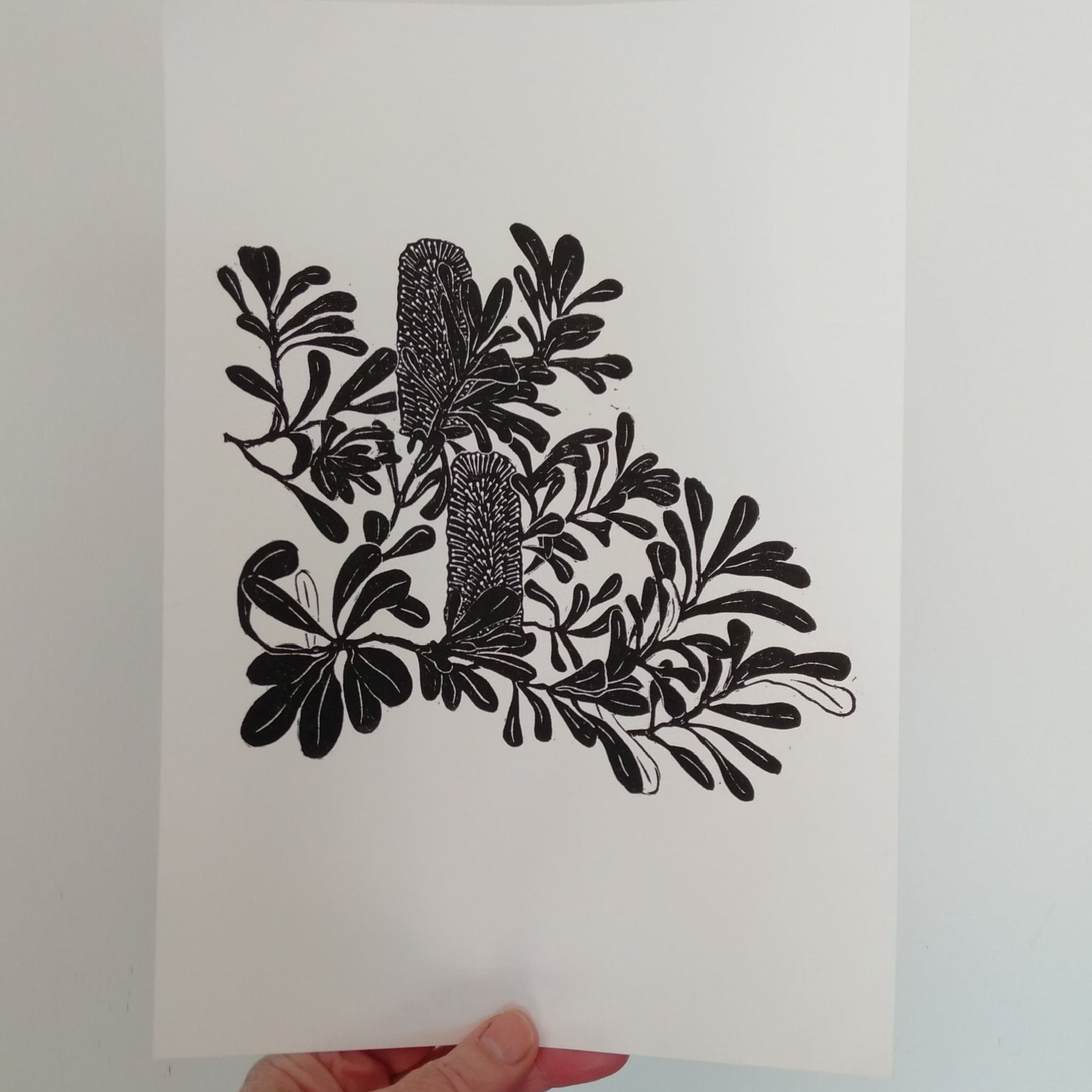 Original linocut print of Australian banksia