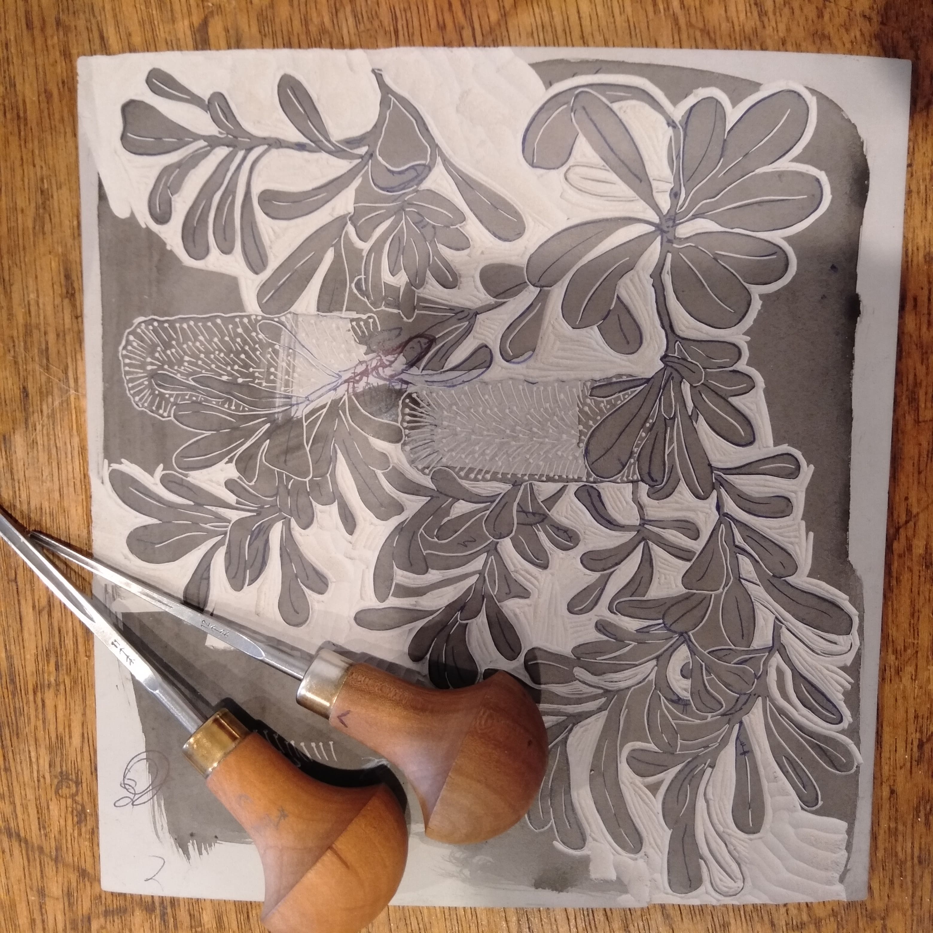 SOLD OUT Original linocut print of Australian banksia