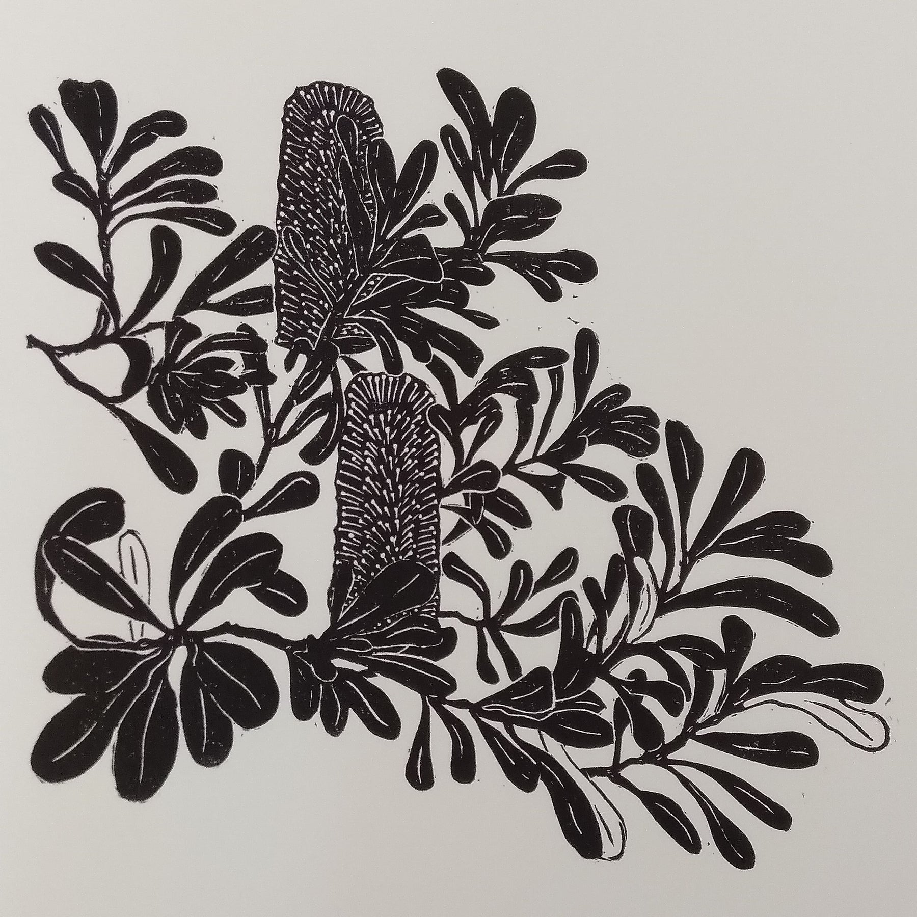 Original linocut print of Australian banksia