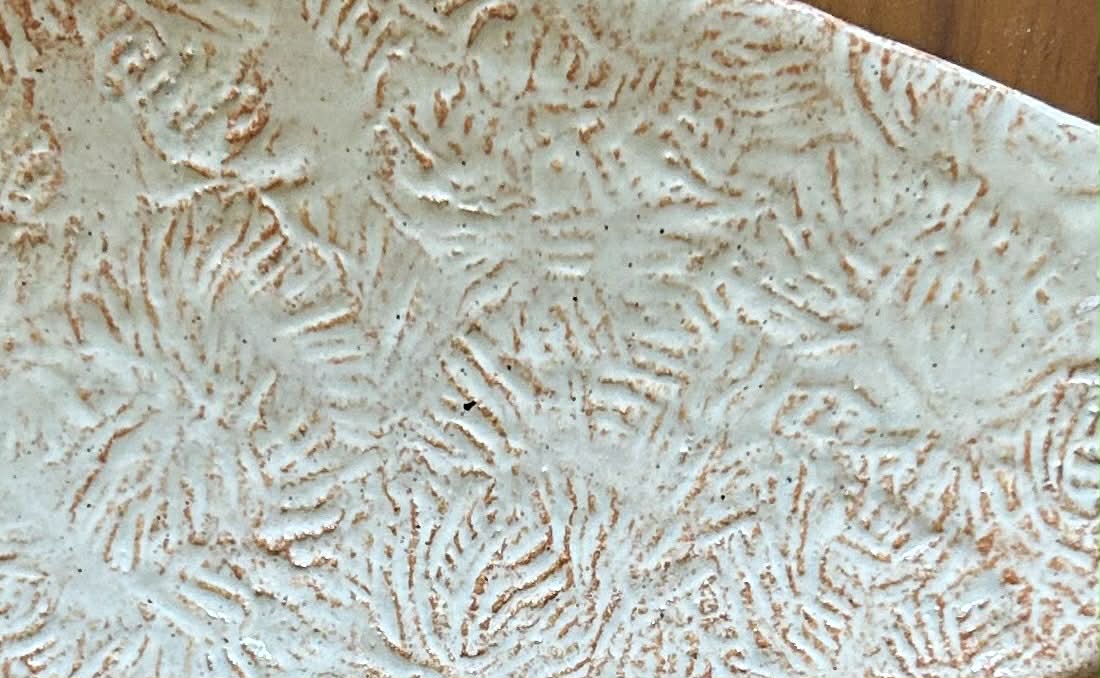 Creamy Coral Spoonfish