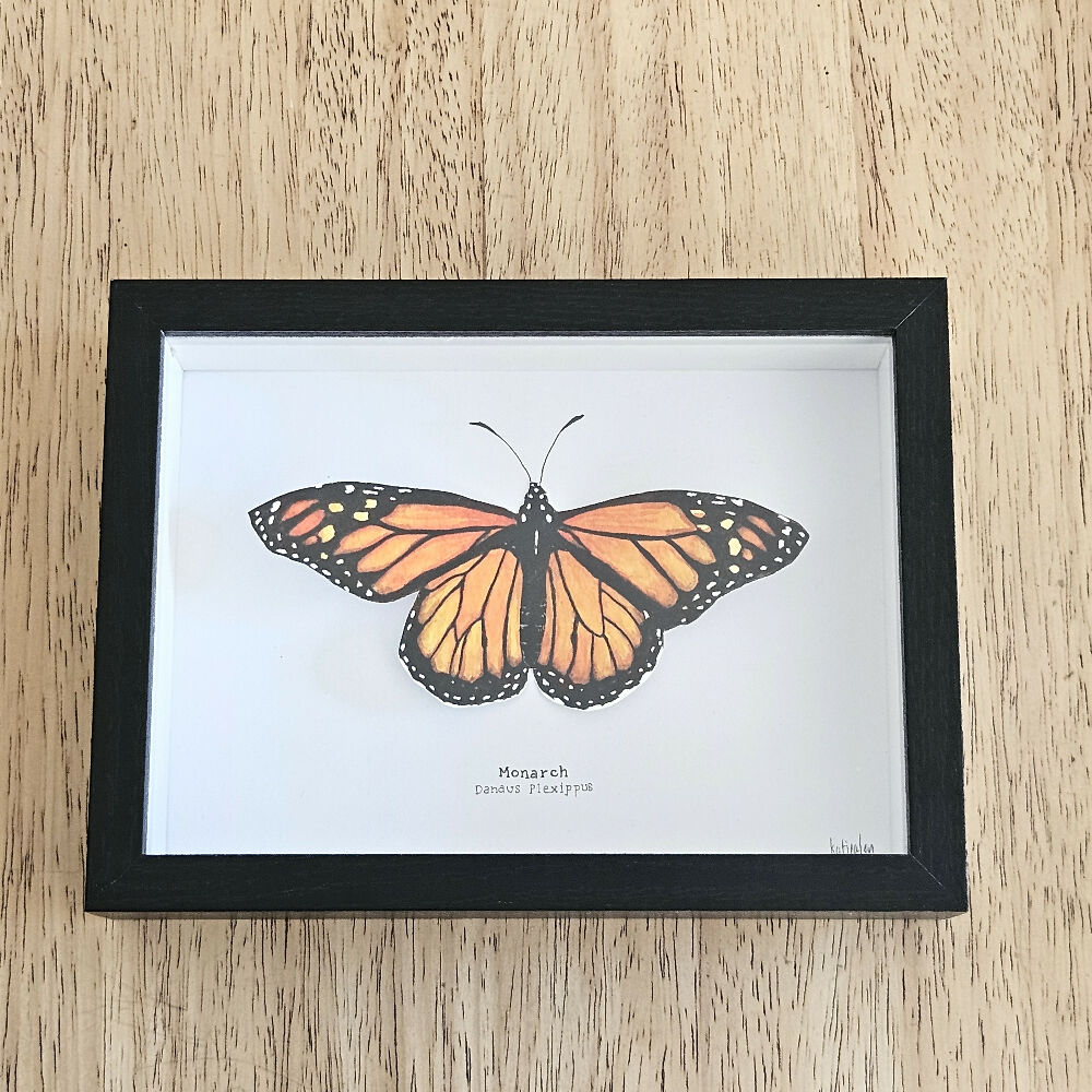 Faux Taxidermy Shadow Box Art - 'Monarch Butterfly'