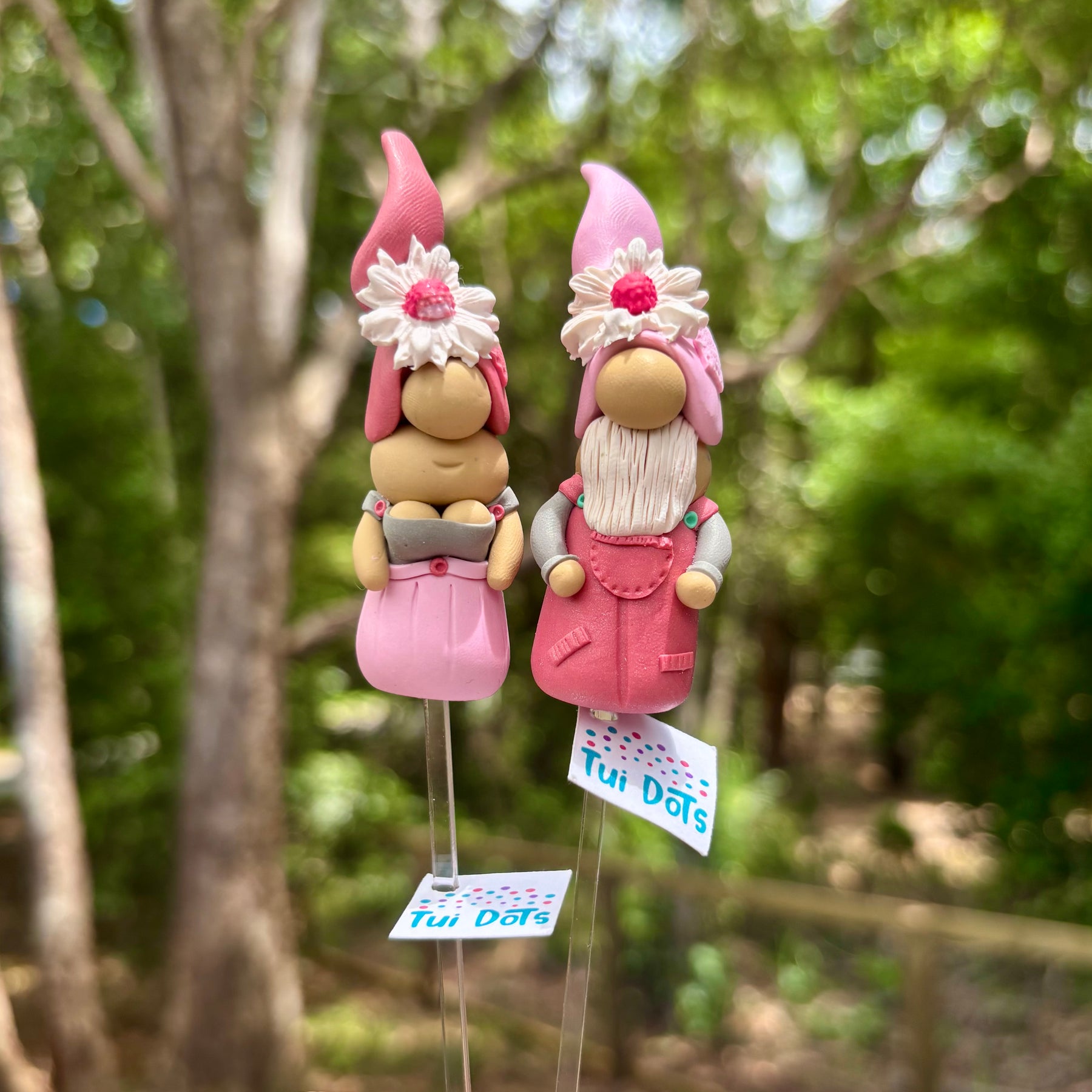 Tiny Gnomes - Petal and Ron