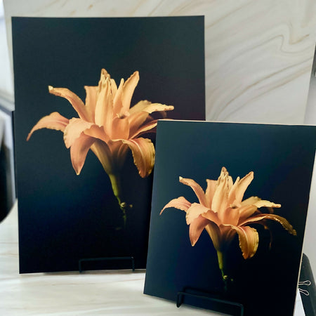 Limited Edition Fine Art Print – A Lily of a Day