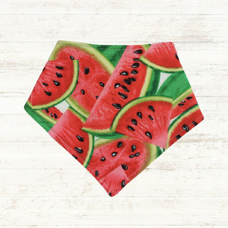 Watermelon Bandana Bib