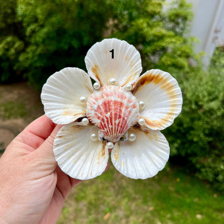 Large Scallop Shell Flower Trays
