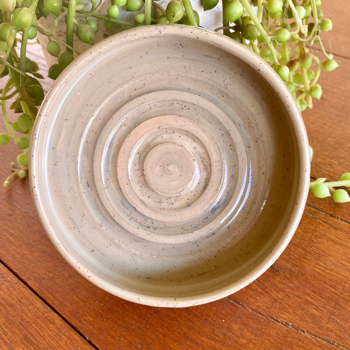 Organic Handcrafted Shampoo/ConditionerBar Holder/HandmadePottery