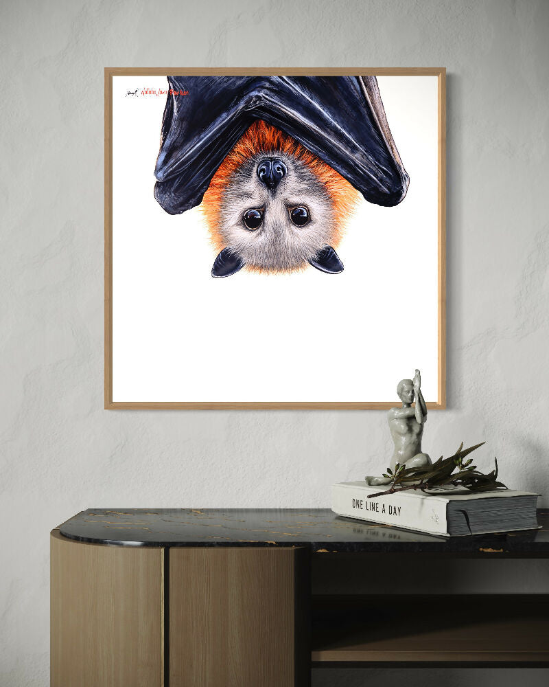Grey-headed flying fox - Australian Wildlife Portrait Canvas Print