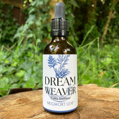 Dream Weaver - MUGWORT Luna Flower Essence 50ml