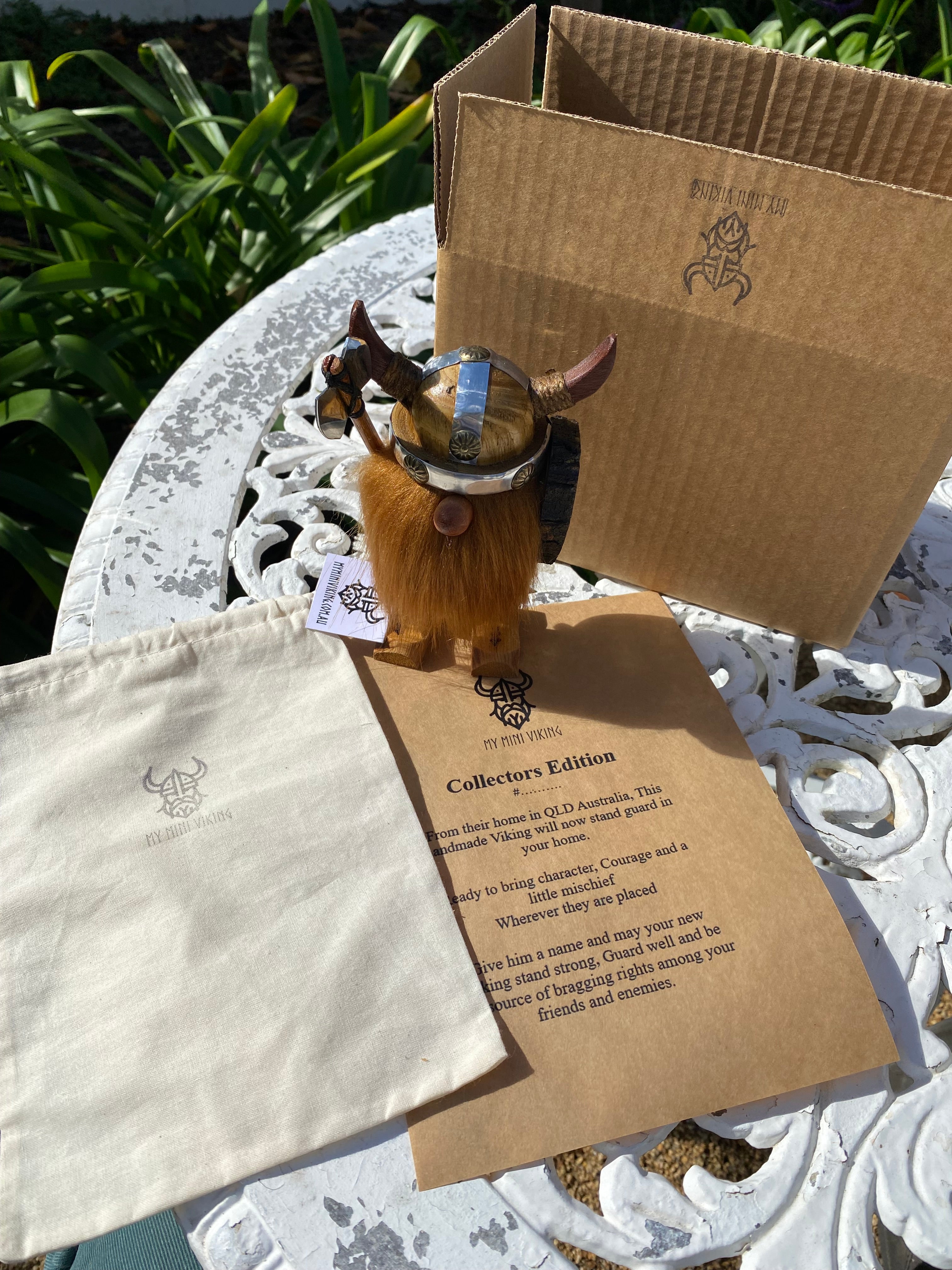 Collector Edition Vikings