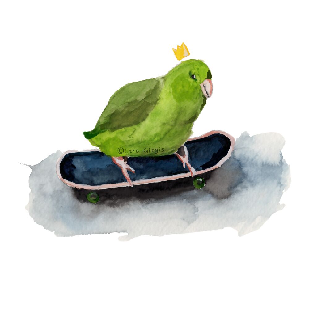 birb on a board - art print