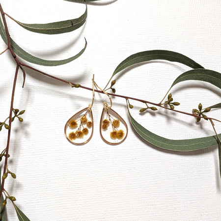 Wattle teardrop earrings