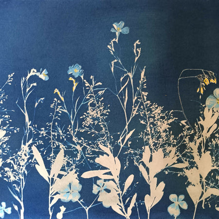 Plant Profusion- original cyanotype