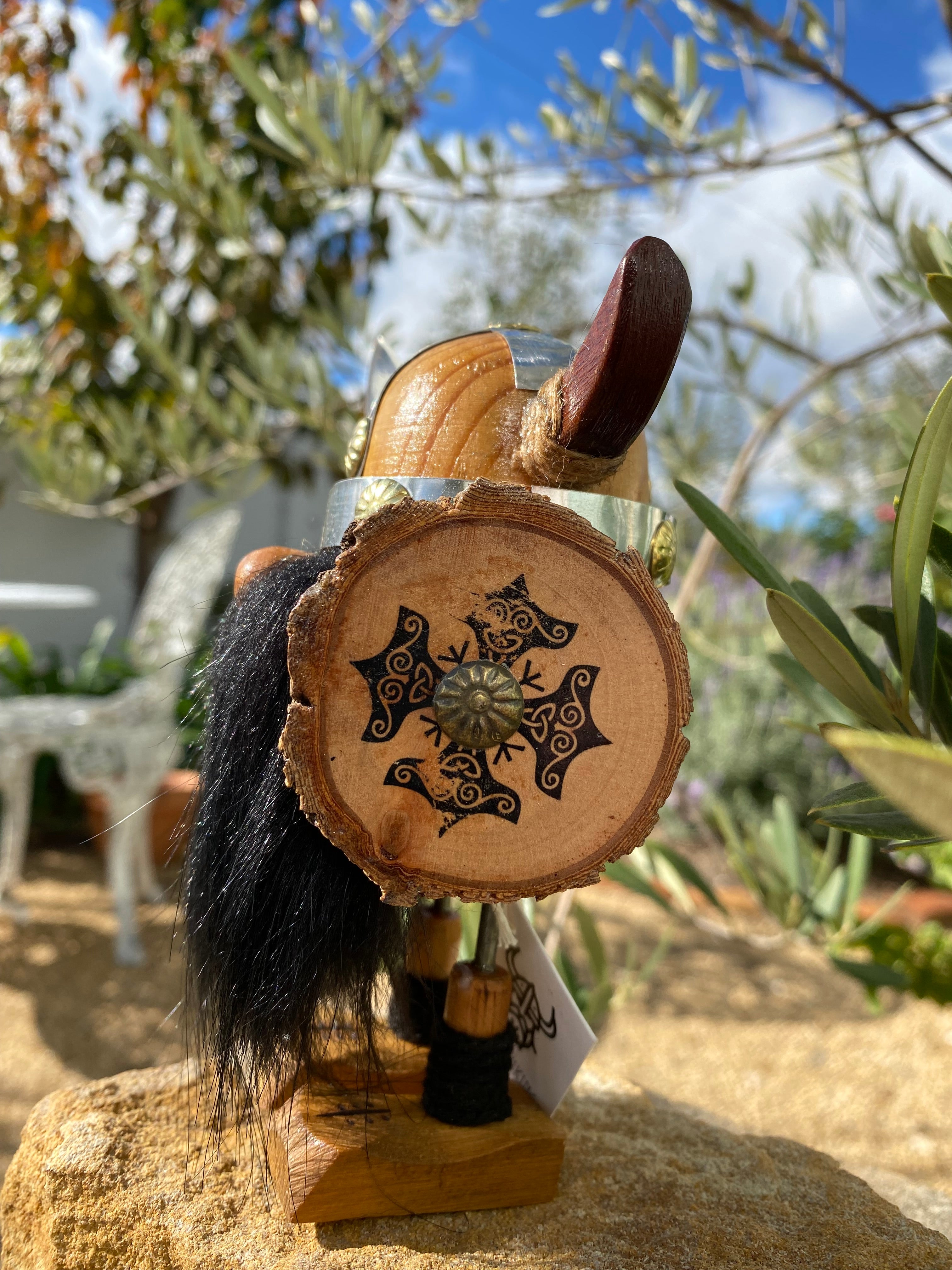 Collector Edition Vikings