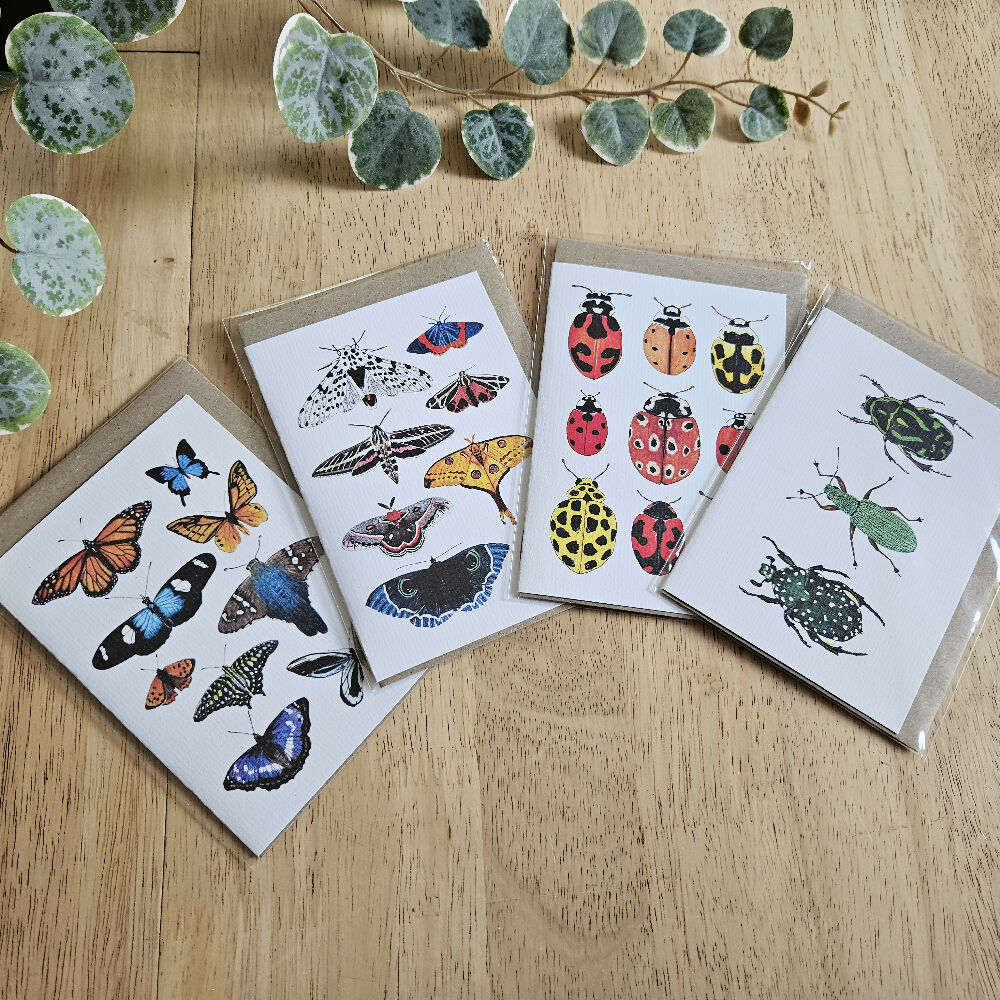 Watercolour Greeting Cards - Insect Collages - Set of 4