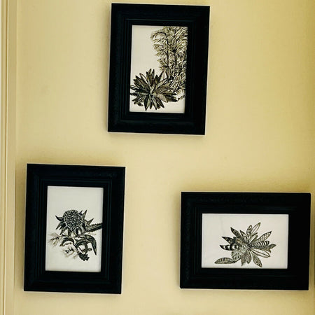 Set of 3 original dot and line art of Australian flora