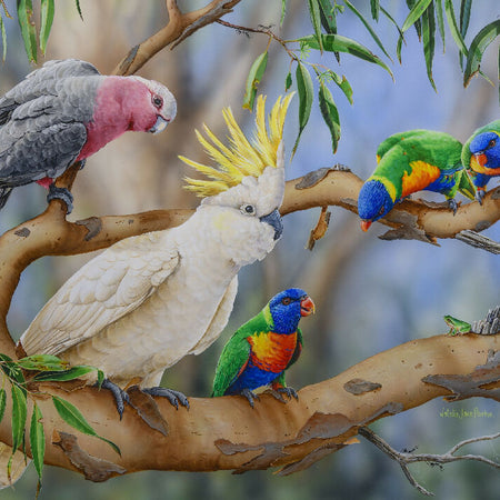 Aussie Bird Jigsaw Puzzle | Colourful Crowd | 1000 Piece | Galah, Cockatoo, Lorikeets & Frog