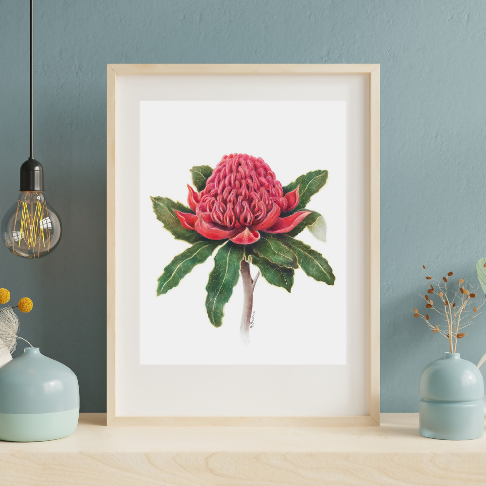 Australian-artist-wall-art-waratah-framed-rectangle