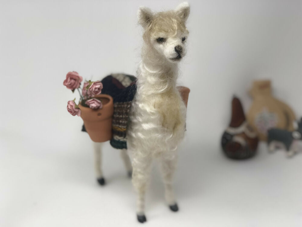 llama6