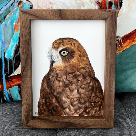 Boobook owl frame