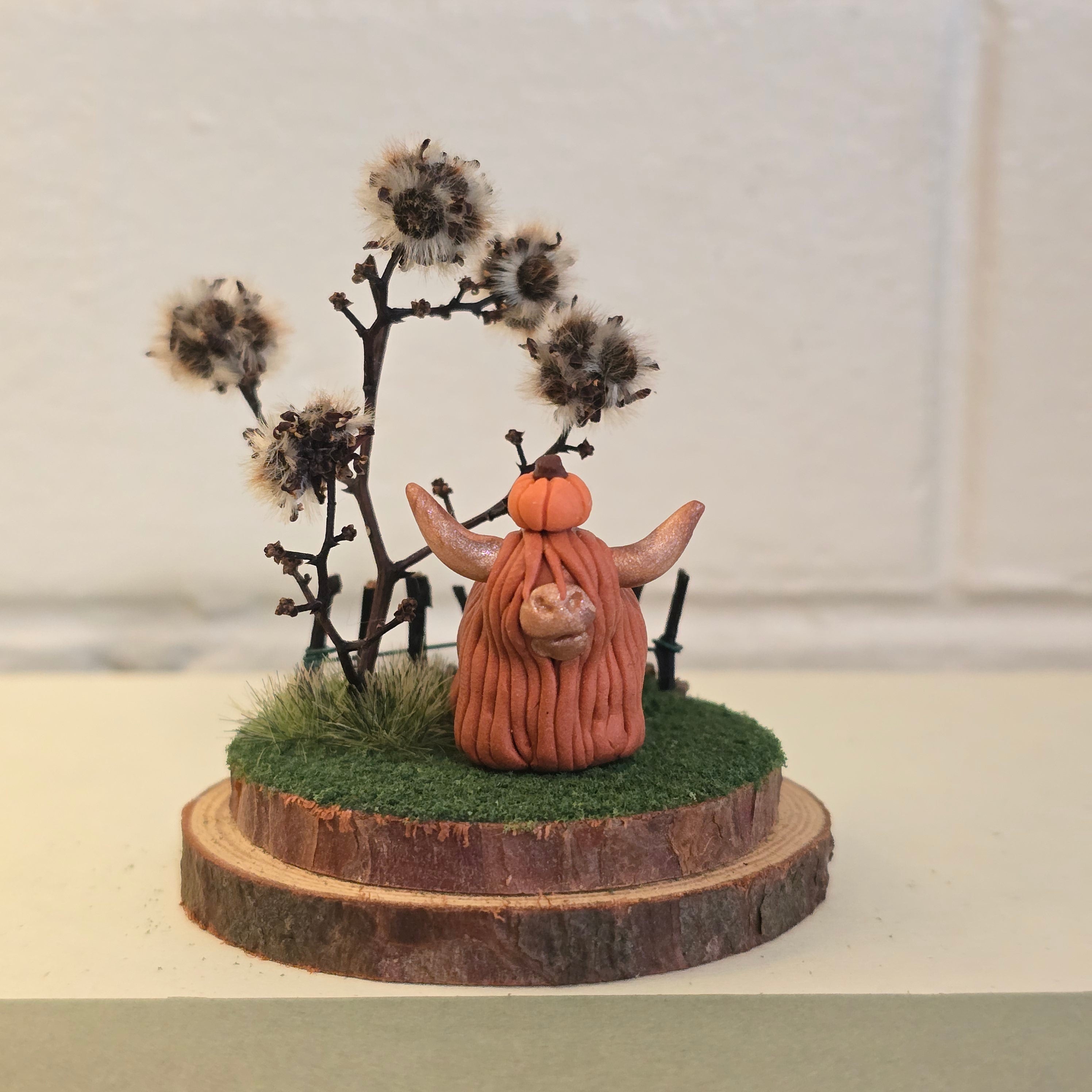 Highland Cow - Hazel