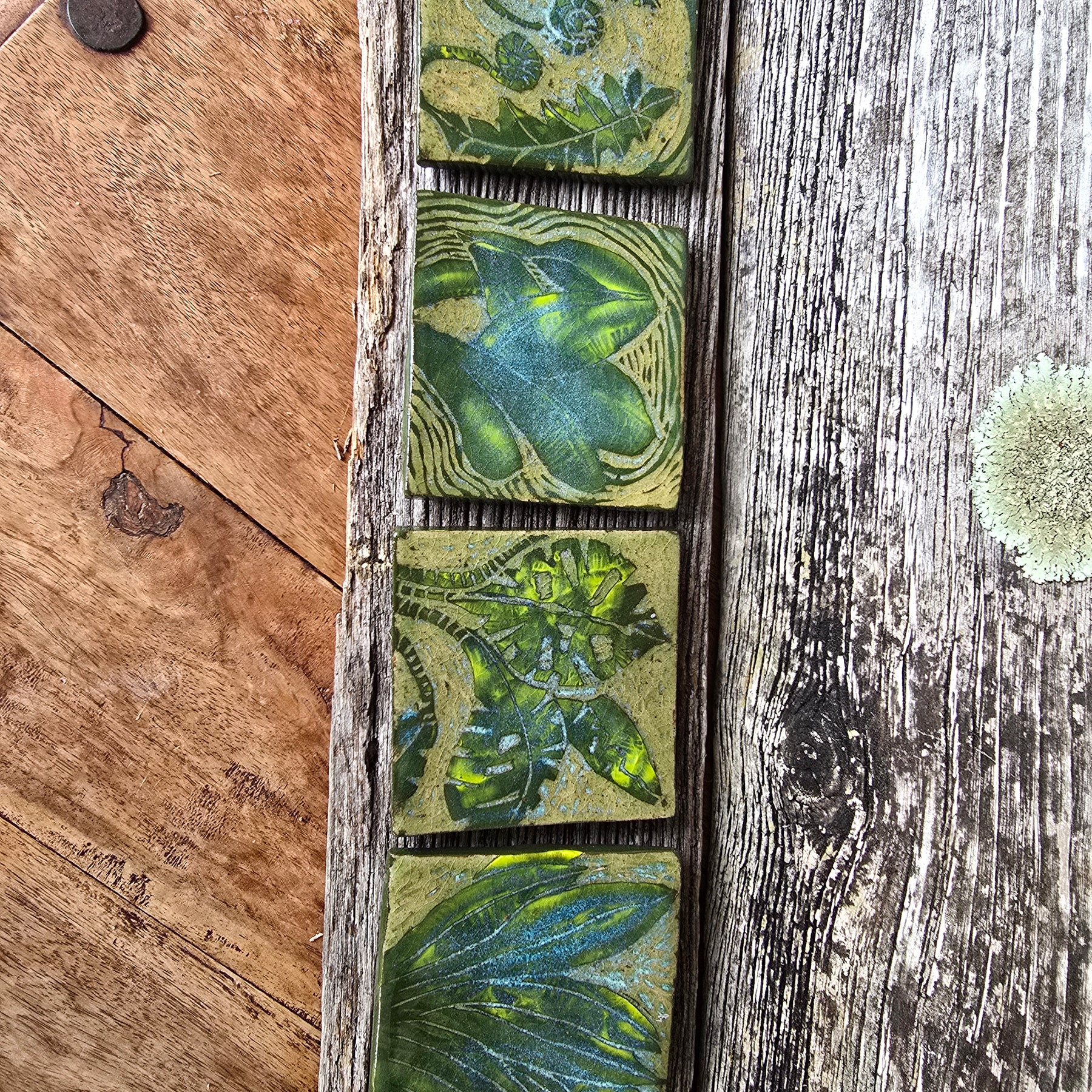Rainforest vibe coasters