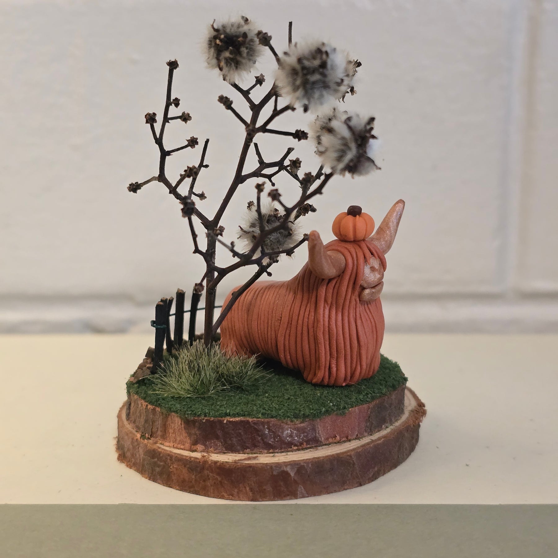 Highland Cow - Bonnie